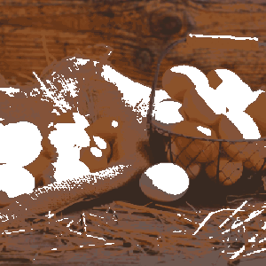 Uova freschissime (Confezioni da 6) 