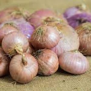 Cipolle secche dorate 