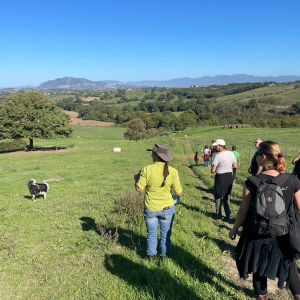 Open Day Sabato 24 Maggio 2025