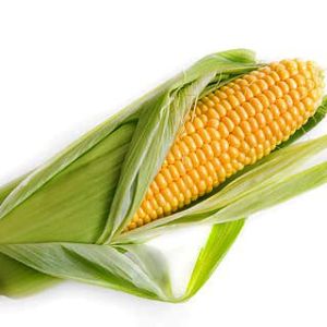 Pannocchia Mais 1 pezzo