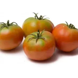 Pomodori Tondi 