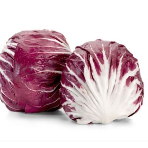 Radicchio tondo